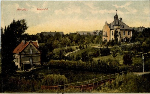Nerchau meadow valley - meadow,