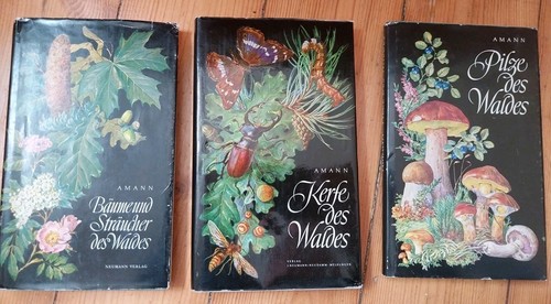 Pilze waldes kerfe d - waldes,,