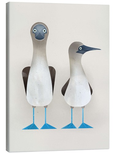 Leinwandbild blaufußtölpel - leinwandbild,