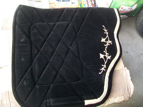 Pearl dressur barock - pearl,