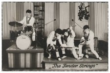 V9277/ The Fender Strings  Beat- Popband Niederlande AK ca.1965