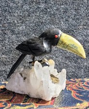 Edelsteinvogel auf