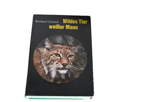 Wildes tier weißer mann - weißer,