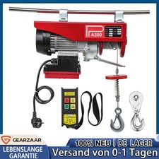 Elektrischer Seilhebezug 150Kg