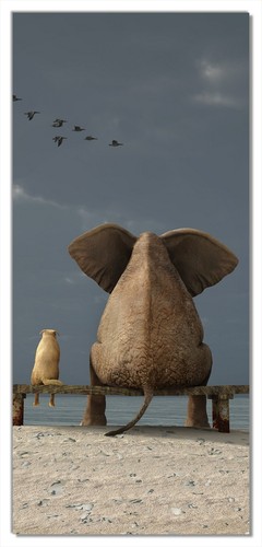 Türposter türtapete 93x205cm - türposter,