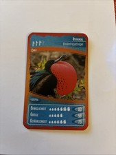 Ozeanien 7 - Schätze Unseres