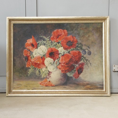 Streckenbach mohnblumen in - streckenbach,