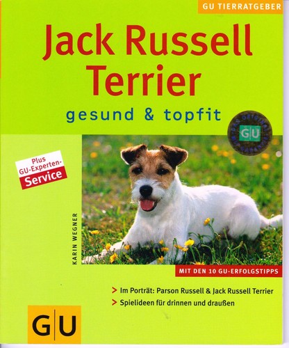Jack russel terrier - russel, gesund