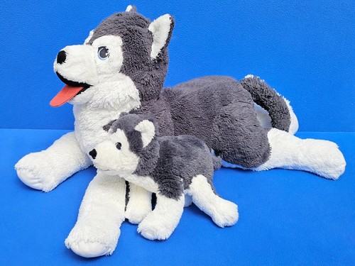 Ikea hund husky - hund, livlig