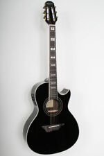 Indra-s-BK, 41` Westerngit., EQ-Fishman, Decke: Fichte massiv, B&Z: Palisander,