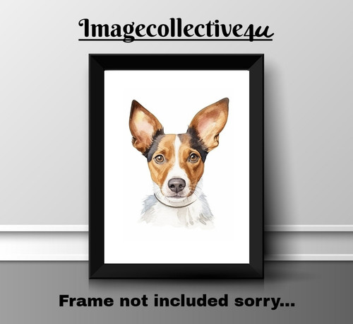 Foxterrier hund haustier - haustier, a4