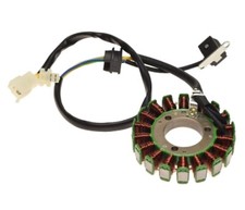 Magnetzündung Stator Lichtmaschine 18 Spulen für Quad ATV SHINERAY STE 300 4T