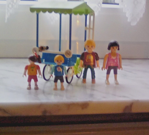 Playmobil 70093