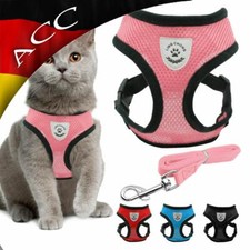 Katzengeschirr mit Leine