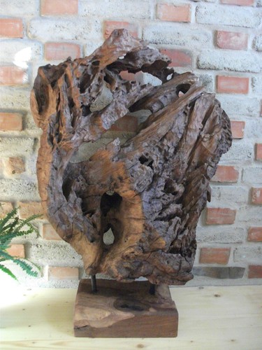 Teak wurzelholz skulptur asia - wurzelholz,
