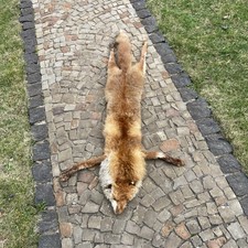 Fuchs Rotfuchs Stola Schal