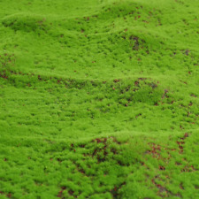 Tabletop Modellbau Grasmatte