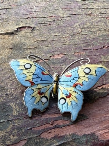 Marius hammer schmetterling - hammer,