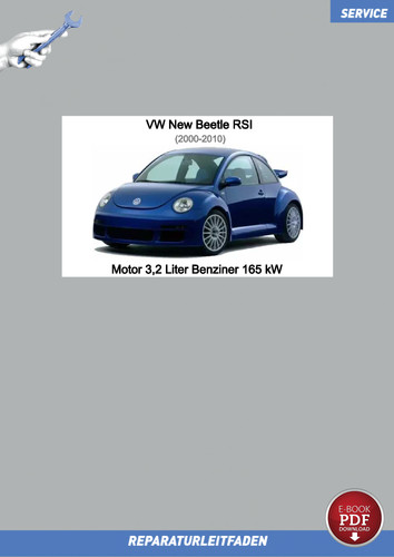 Download pdf new - beetle, rsi