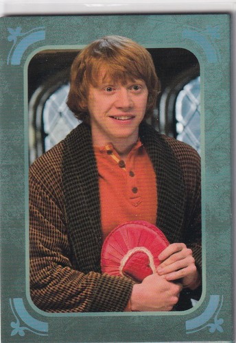 Panini harry potter evolution - harry,