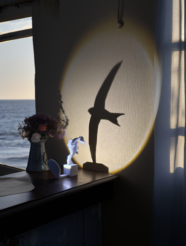 Mauersegler lampe led - lampe,