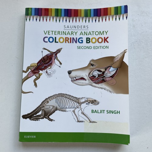 Veterinary anatomy coloring - veterinary,
