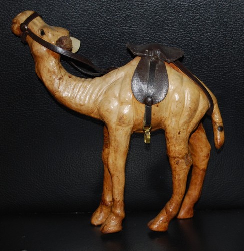 Dromedar kamel - (alt),
