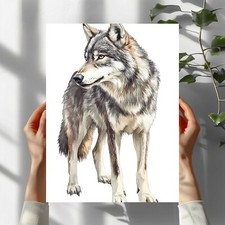 Aquarell Wolf Premium Poster
