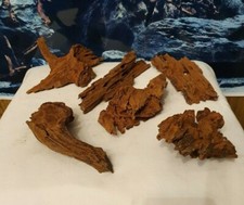 Mangroven Nano Wurzel 10cm bis