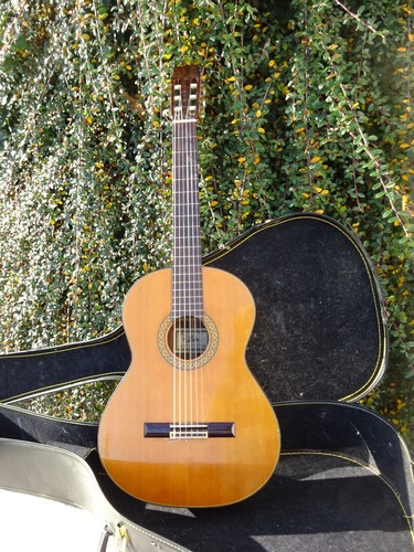 Gitarre aria 558 - gitarre,