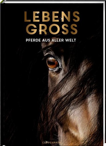 Lebensgroß pferde aus aller - pferde,