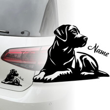 Labrador Retriever Auto