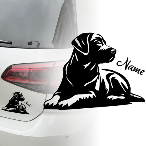 Labrador retriever auto - labrador,