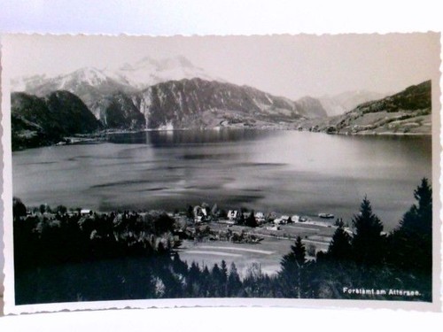 Forstamt attersee - ak,