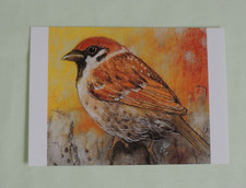 1x Postkarten SPATZ Loes