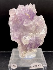 Amethyst Rose Brasilien