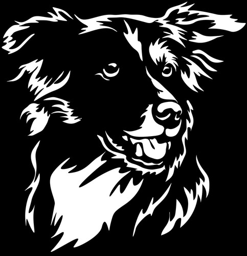 Border collie aufkleber - border,