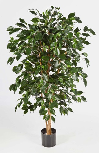 Artplants künstlicher ficus - künstlicher,