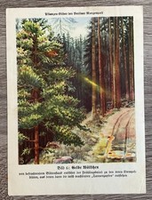 Natur-Bilder + Berliner