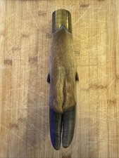 1923 Quantock Hirschhund