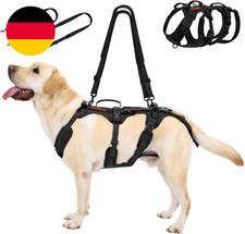 Onetigris Hundegeschirr