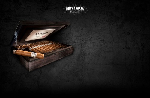 Buena vista araperique - buena,