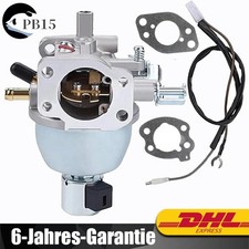 Vergaser Kit für Briggs &