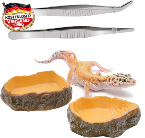 Reptilien wasserschale set - reptilien,