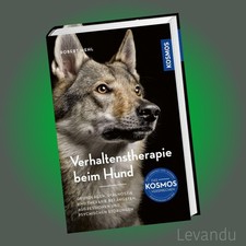 Verhaltenstherapie beim Hund |