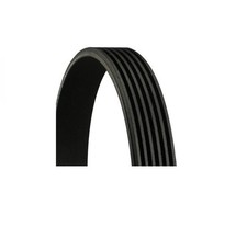 Keilrippenriemen CONTITECH