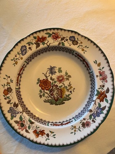 Chinese rose spode - rose,