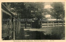 Egestorf Deister Bienenstand