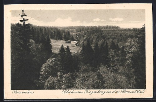 Rominten blick vom ziegenberg - blick,