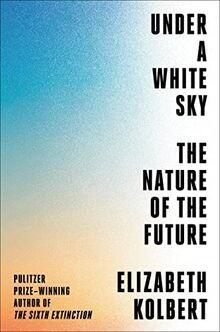 Under white sky - white, nature